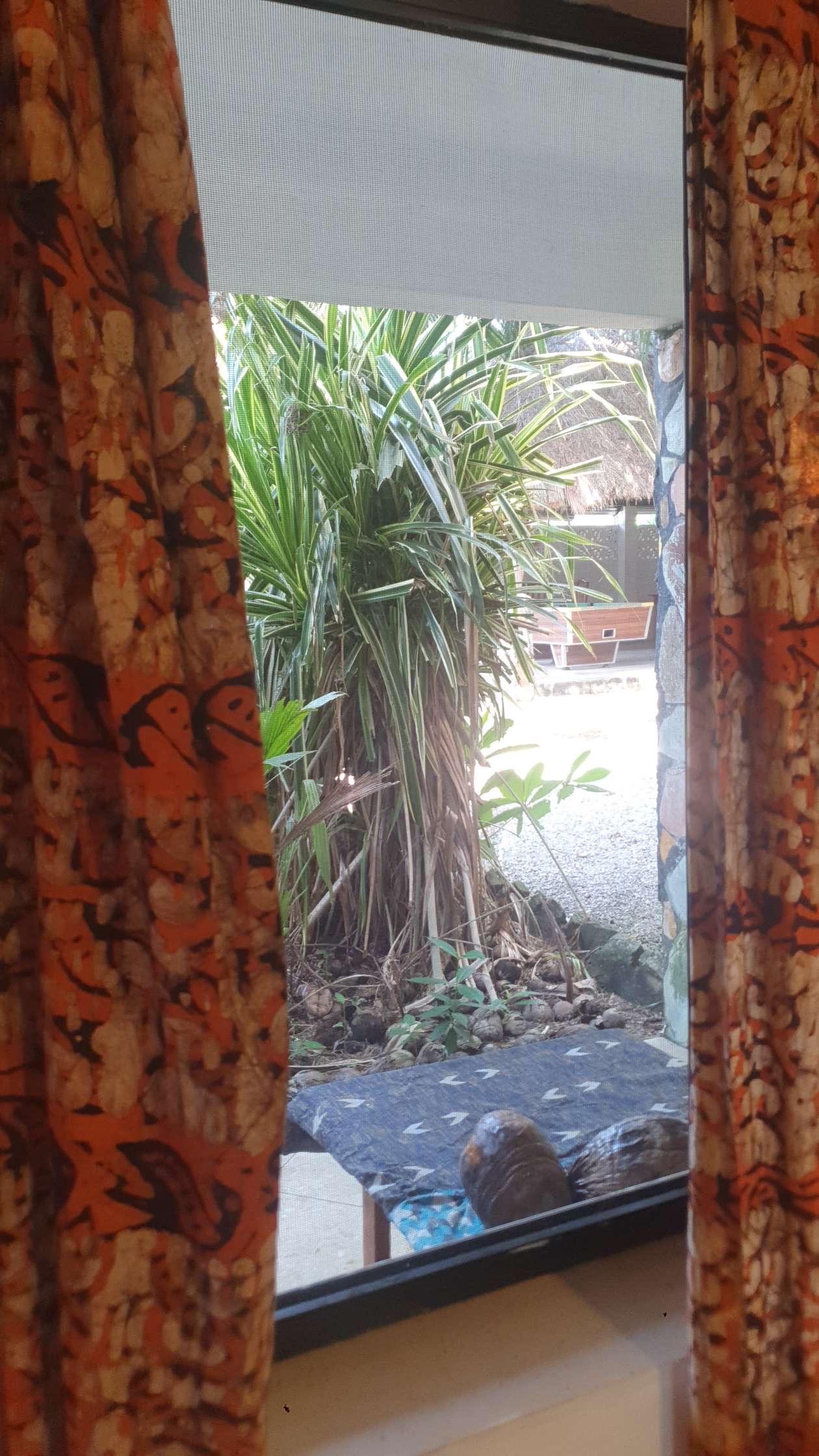 Room 2 — photo 4